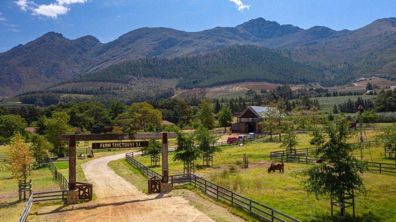 Hotel Inspiring Farm Sanctuary And Famous Painting Pig Franschhoek Zewnętrze zdjęcie