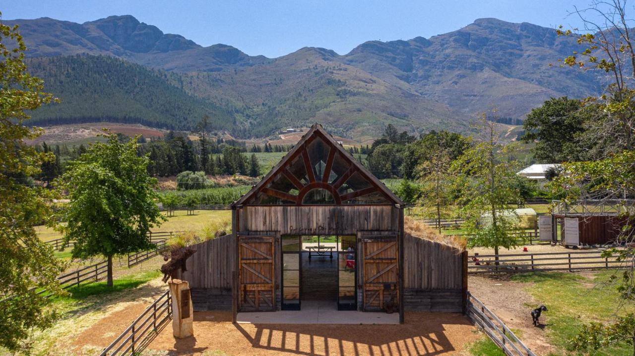 Hotel Inspiring Farm Sanctuary And Famous Painting Pig Franschhoek Zewnętrze zdjęcie