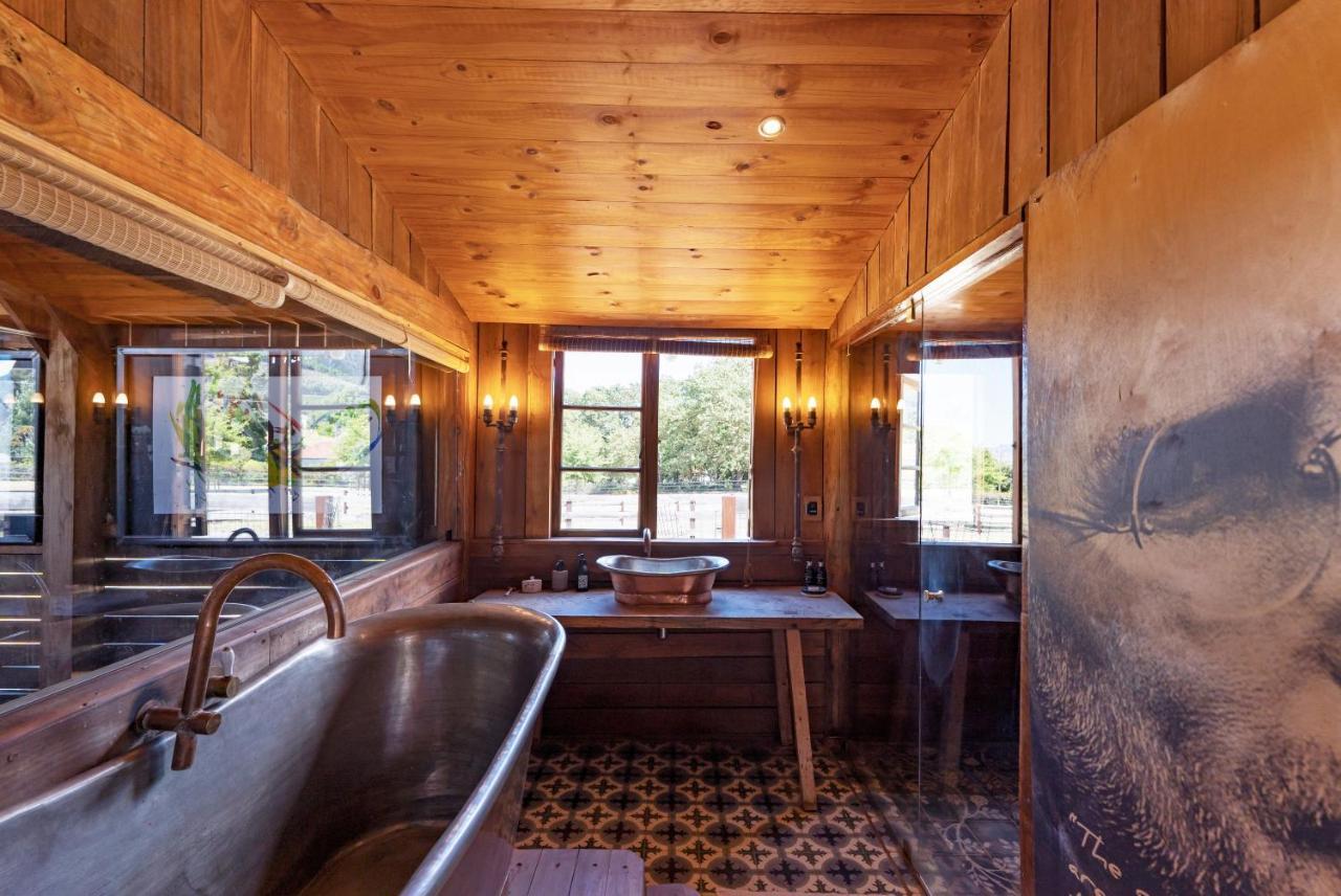 Hotel Inspiring Farm Sanctuary And Famous Painting Pig Franschhoek Zewnętrze zdjęcie