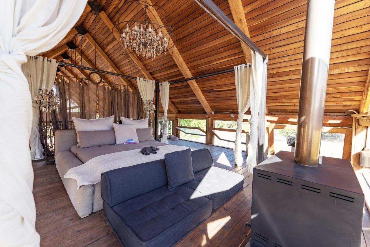 Hotel Inspiring Farm Sanctuary And Famous Painting Pig Franschhoek Zewnętrze zdjęcie