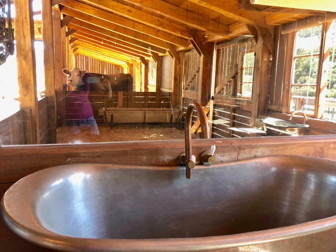 Hotel Inspiring Farm Sanctuary And Famous Painting Pig Franschhoek Zewnętrze zdjęcie